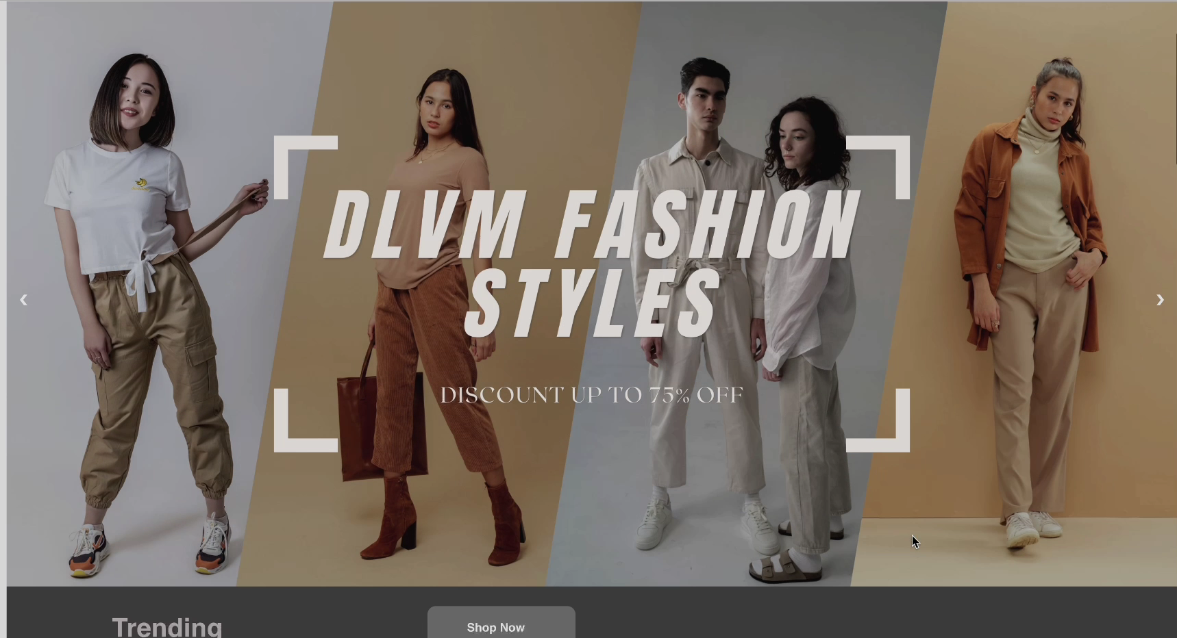 Vehicle Insurance Management System